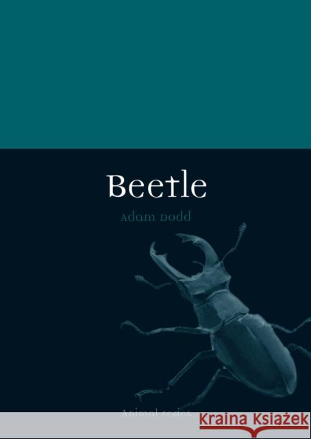 Beetle Adam Dodd 9781780234885 Reaktion Books - książka