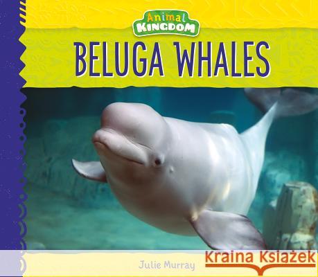 Beluga Whales Julie Murray 9781532116162 Big Buddy Books - książka