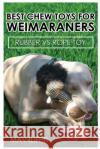 Best Chew Toys for Weimaraners: Rubber Vs Rope Toy Mav4life 9781545504062 Createspace Independent Publishing Platform