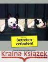 Betreten verboten! : Territorialverhalten bei Hunden verstehen Jung, Inga 9783954640973 Kynos