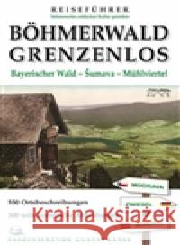 Böhmerwald grenzenlos Petr Mazný 9788023994919 Starý most - książka