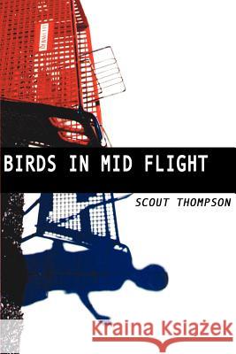Birds in Mid Flight Scout Thompson C Salvaggio 9780595171033 Writers Club Press - książka