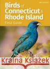 Birds of Connecticut Field Guide Stan Tekiela 9781647554057 Adventure Publications
