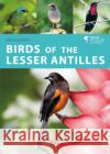Birds of the Lesser Antilles Ryan Chenery 9781472989611 Bloomsbury Publishing PLC