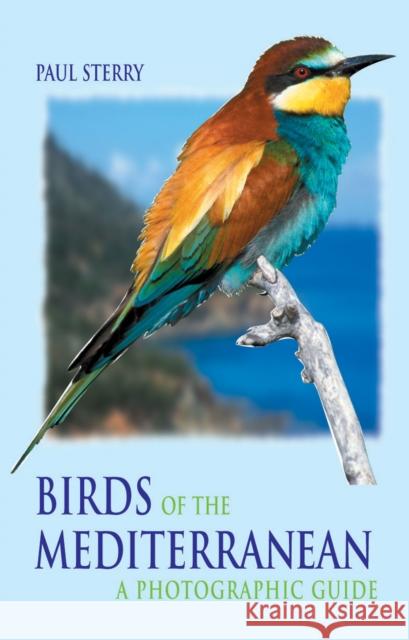 Birds of the Mediterranean: A Photographic Guide Paul Sterry 9780713663495 Bloomsbury Publishing PLC - książka