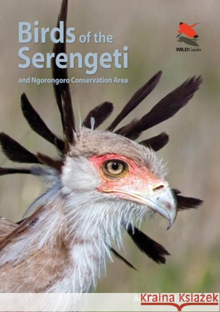 Birds of the Serengeti: And Ngorongoro Conservation Area Kennedy, Adam Scott 9780691159102 Princeton University Press - książka