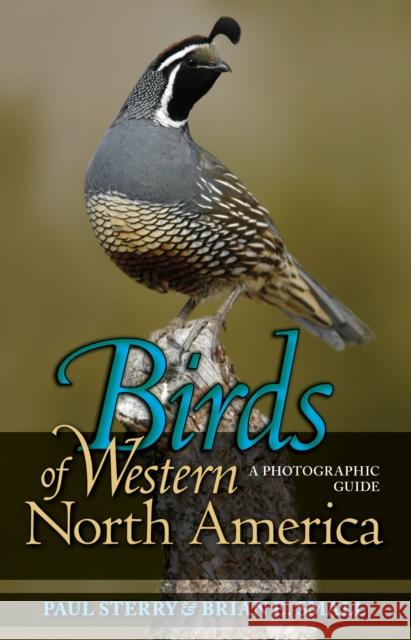 Birds of Western North America: A Photographic Guide a Photographic Guide Sterry, Paul 9780691134284 Princeton University Press - książka