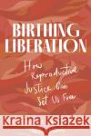 Birthing Liberation: How Reproductive Justice Can Set Us Free Sabia Wade 9781641607964 Chicago Review Press