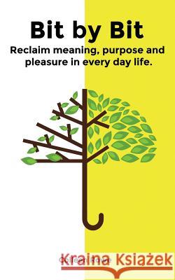 Bit by Bit: reclaim meaning, purpose and pleasure in everyday life Rowe, Colleen 9780995436831 Workable Living - książka