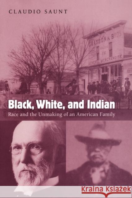Black, White, and Indian: Race and the Unmaking of an American Family Saunt, Claudio 9780195313109 Oxford University Press - książka