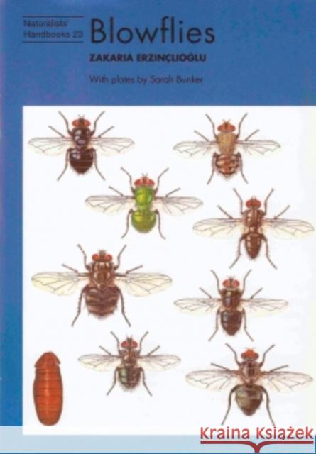 Blowflies Zakaria Erzinclioglu 9780855463038 Richmond Publishing Ltd - książka