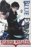 Blue Exorcist. Bd.2 : Ausgezeichnet mit dem AnimaniA Award 2013 - Bester Manga International Katou, Kazue 9782889210268 KAZÉ_VIZ Media