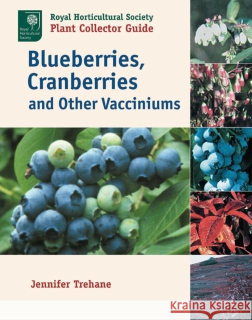 Blueberries, Cranberries and Other Vacciniums Jennifer Trehane 9781604690729 Timber Press (OR) - książka