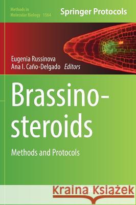 Brassinosteroids: Methods and Protocols Russinova, Eugenia 9781493968114 Humana Press - książka