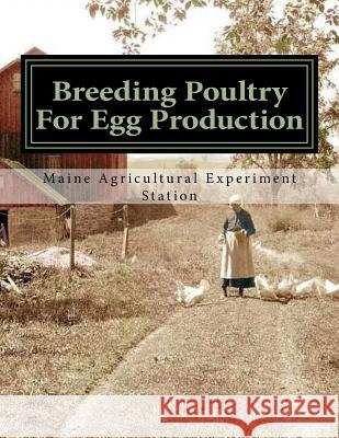 Breeding Poultry For Egg Production Chambers, Jackson 9781729836644 Createspace Independent Publishing Platform - książka