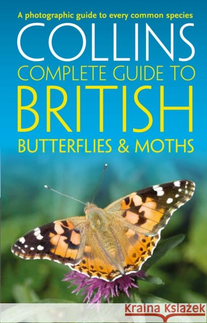 British Butterflies and Moths Paul Sterry 9780008106119 HarperCollins Publishers - książka