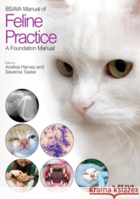 BSAVA Manual of Feline Practice: A Foundation Manual Harvey, Andrea 9781905319398 Wiley & Sons - książka