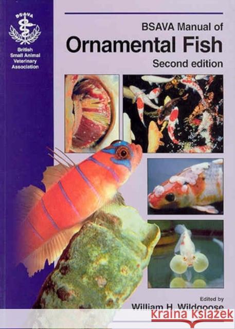 BSAVA Manual of Ornamental Fish William H. Wildgoose 9780905214573 Iowa State Press - książka