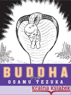 Buddha 6: Ananda Tezuka, Osamu 9781932234619 Vertical - książka