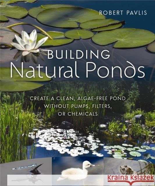 Building Natural Ponds: Create a Clean, Algae-free Pond without Pumps, Filters, or Chemicals Robert Pavlis 9780865718456 New Society Publishers - książka