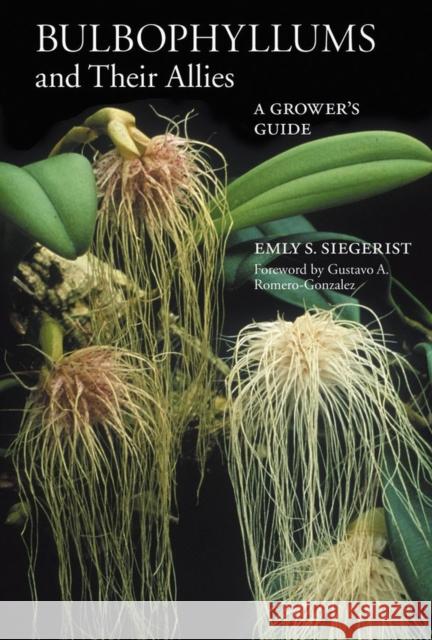 Bulbophyllums and Their Allies Emly A. Siegerist 9780881929843 Timber Press (OR) - książka