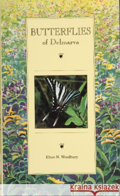 Butterflies of Delmarva Elton N. Woodbury 9780870334535 Tidewater Publishers - książka