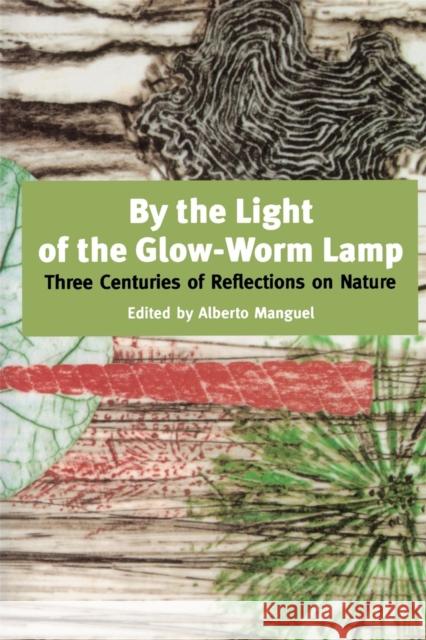 By the Light of the Glow-Worm Lamp Manguel, Alberto 9780306459924 HarperCollins Publishers - książka