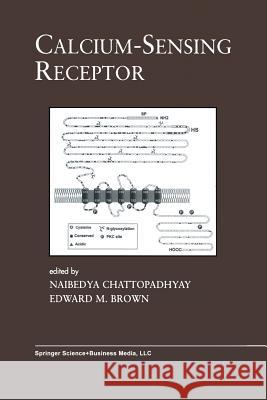 Calcium-Sensing Receptor Naibedya Chattopadhyay Edward M Edward M. Brown 9781461348610 Springer - książka