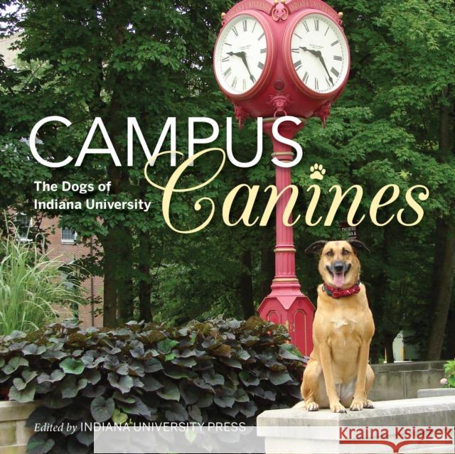 Campus Canines: The Dogs of Indiana University James Farlow 9780253027030 Indiana University Press - książka