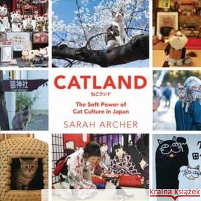 Catland: The Soft Power of Cat Culture in Japan Sarah Archer 9781682684733 Countryman Press - książka