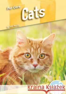 Cats Julie Murray 9781532125201 Dash! - książka