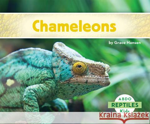 Chameleons Grace Hansen 9781629700588 Abdo Kids - książka
