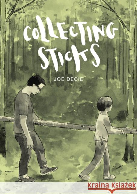 Collecting Sticks Joe Decie 9781910702734  - książka