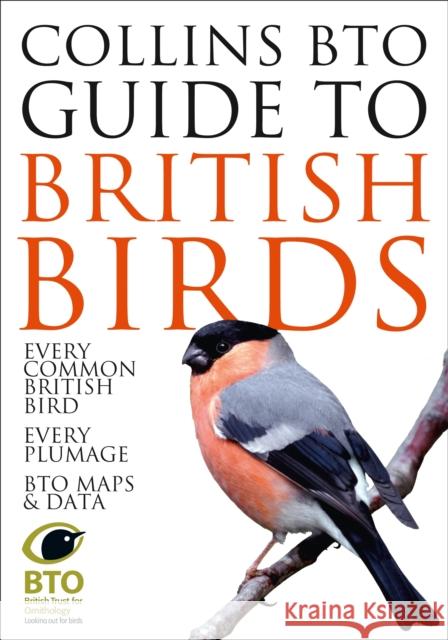 Collins BTO Guide to British Birds Paul Sterry & Paul Stancliffe 9780007551521 Harper Collins Paperbacks - książka