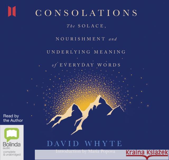 Consolations: The Solace, Nourishment and Underlying Meaning of Everyday Words David Whyte 9780655639626 Bolinda Publishing - książka