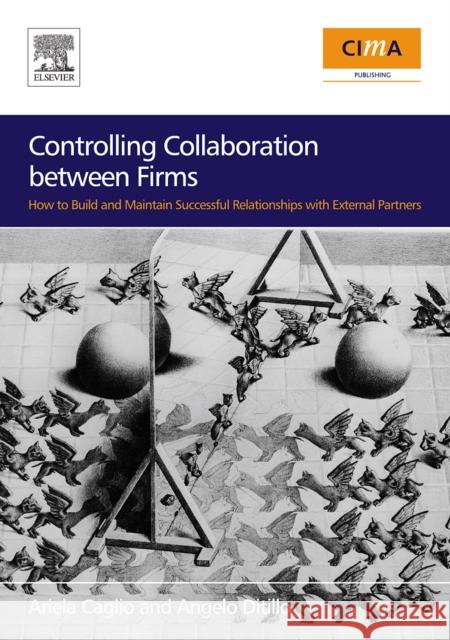 Controlling Collaboration Between Firms: How to Build and Maintain Successful Relationships with External Partners A Ditillo 9780750681315  - książka