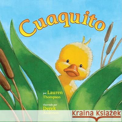 Cuaquito (Little Quack) Lauren Thompson Derek Anderson 9781416998945 Libros para ninos - książka