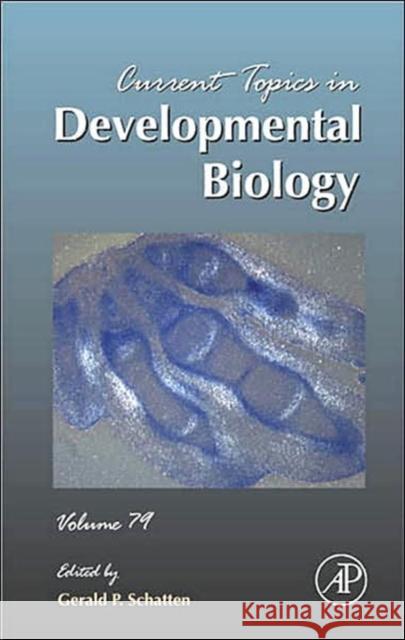 Current Topics in Developmental Biology: Volume 79 Schatten, Gerald P. 9780123739131 Academic Press - książka