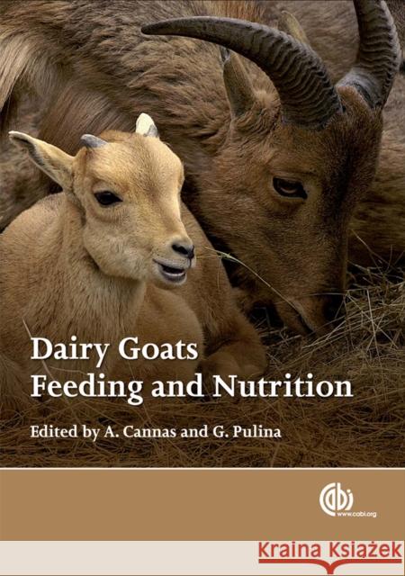 Dairy Goats, Feeding and Nutrition A Cannas 9781845933487  - książka