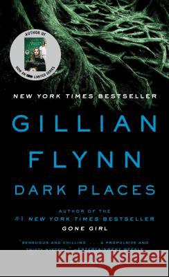 Dark Places Gillian Flynn 9780307341570 Three Rivers Press (CA) - książka
