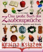 Das große Buch der Zaubersprüche Gallagher, Ann-Marie 9783898803045 Heel Verlag - książka