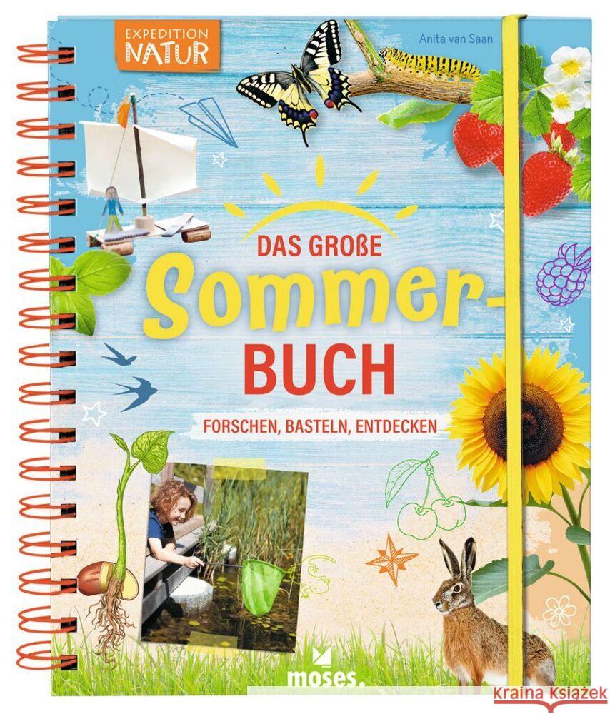 Das große Sommer-Buch Saan, Anita van 9783964551634 moses. Verlag - książka