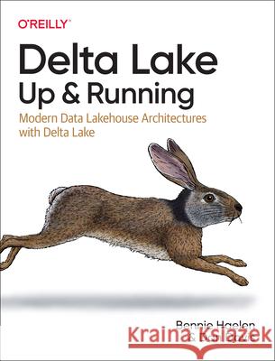 Delta Lake: Up and Running: Modern Data Lakehouse Architectures with Delta Lake  9781098139728  - książka