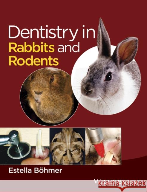Dentistry in Rabbits and Rodents Böhmer, Estella 9781118802540 John Wiley & Sons - książka