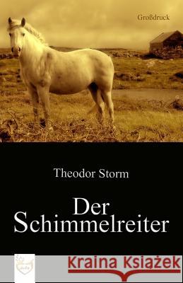 Der Schimmelreiter (Großdruck) Storm, Theodor 9781542617611 Createspace Independent Publishing Platform - książka