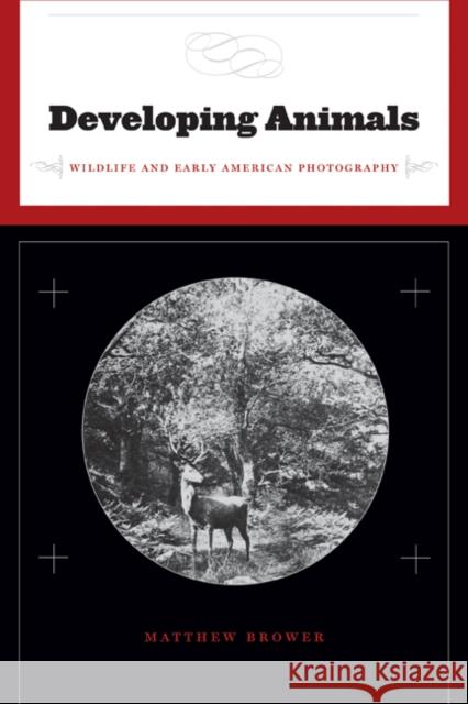 Developing Animals: Wildlife and Early American Photography Brower, Matthew 9780816654796 University of Minnesota Press - książka