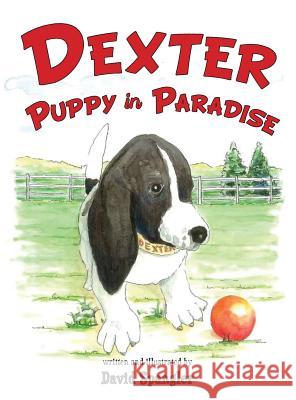 Dexter, Puppy in Paradise David Spangler 9781938366840 Hancock Press - książka