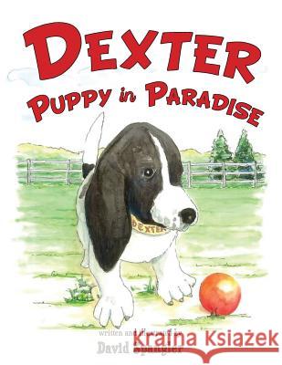 Dexter, Puppy in Paradise David Spangler 9781938366857 Hancock Press - książka