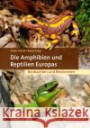 Die Amphibien und Reptilien Europas Glandt, Dieter, Trapp, Benny 9783494018546 Quelle & Meyer