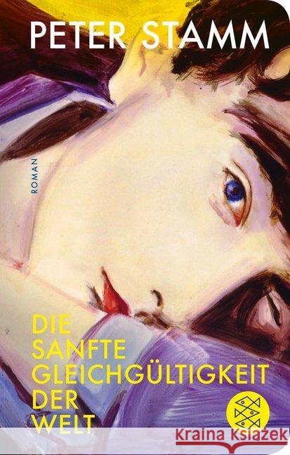 Die sanfte Gleichgültigkeit der Welt Stamm, Peter 9783596522606 FISCHER Taschenbuch - książka